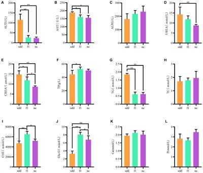 Compound Chinese medicine (F1) improves spleen deficiency diarrhea by protecting the intestinal mucosa and regulating the intestinal flora